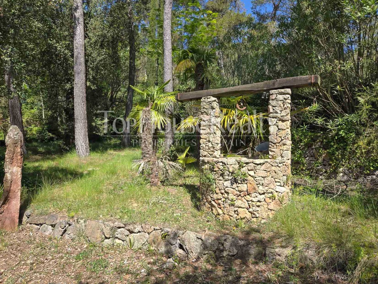 Luxury villa in Begues — unique estate with 6,000 m² plot and high investment potential