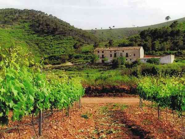 Russian and Chinese citizens buy wineries incognito in Spain