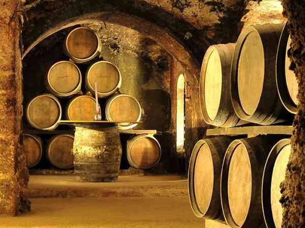 Purchase of wineries in Spain