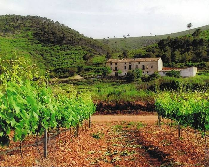 Russian and Chinese citizens buy wineries incognito in Spain
