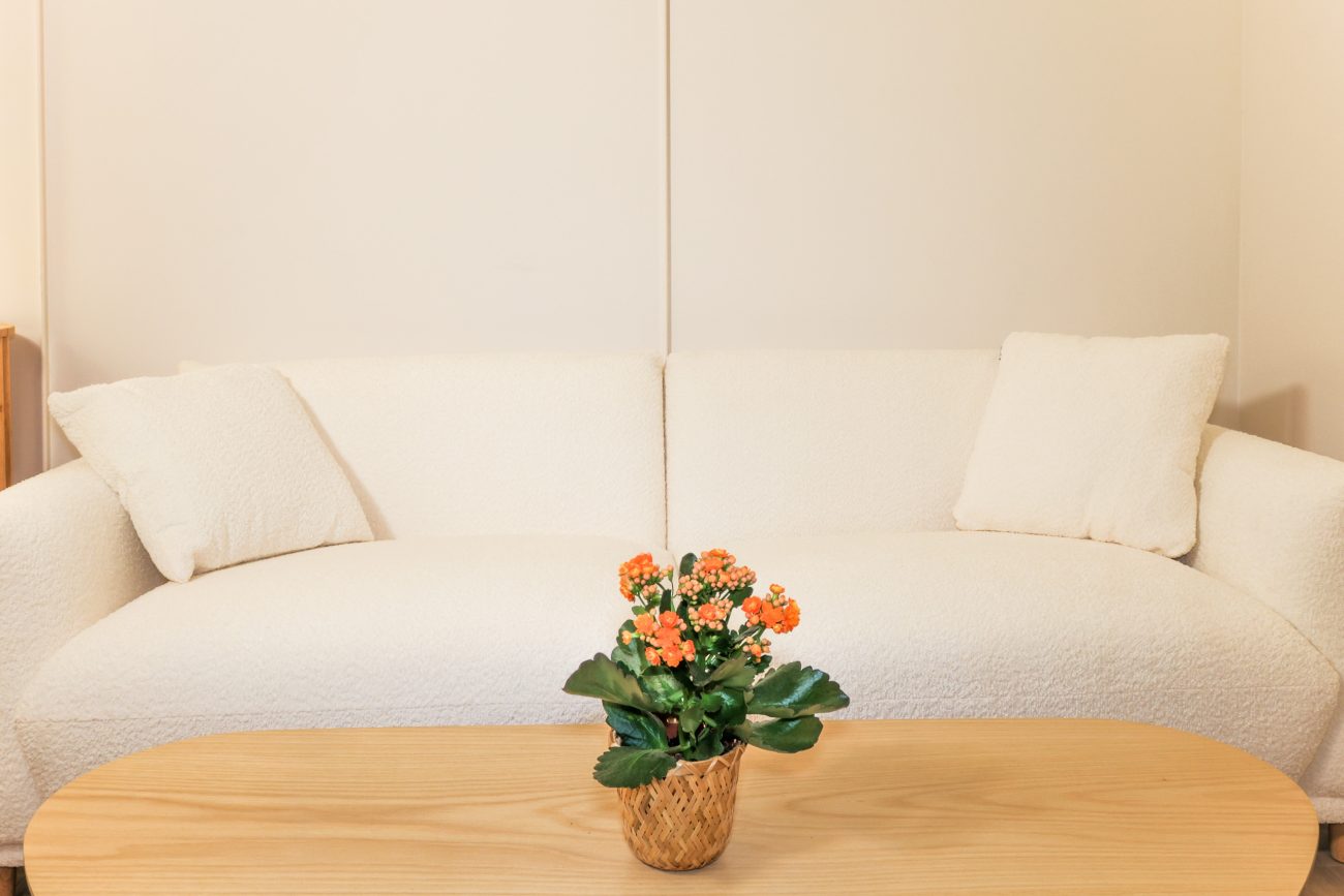 Fully renovated apartment at the foot of Montjuïc