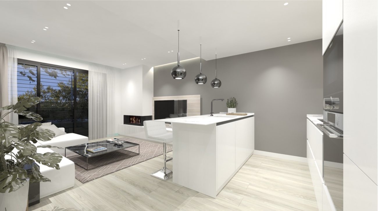 The unique and profitable project in Sant Boi