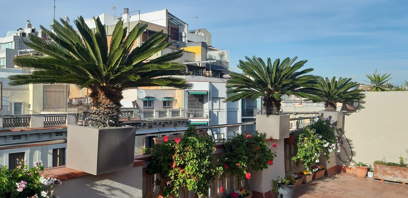 Penthouse for Rent in the Heart of Barcelona: Spacious Terraces and Spectacular Views