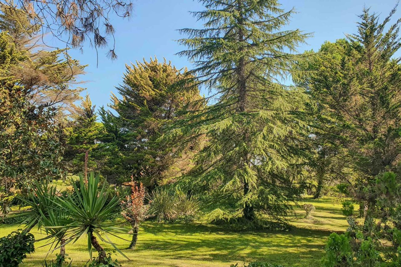 Two properties in Caldes de Malavella