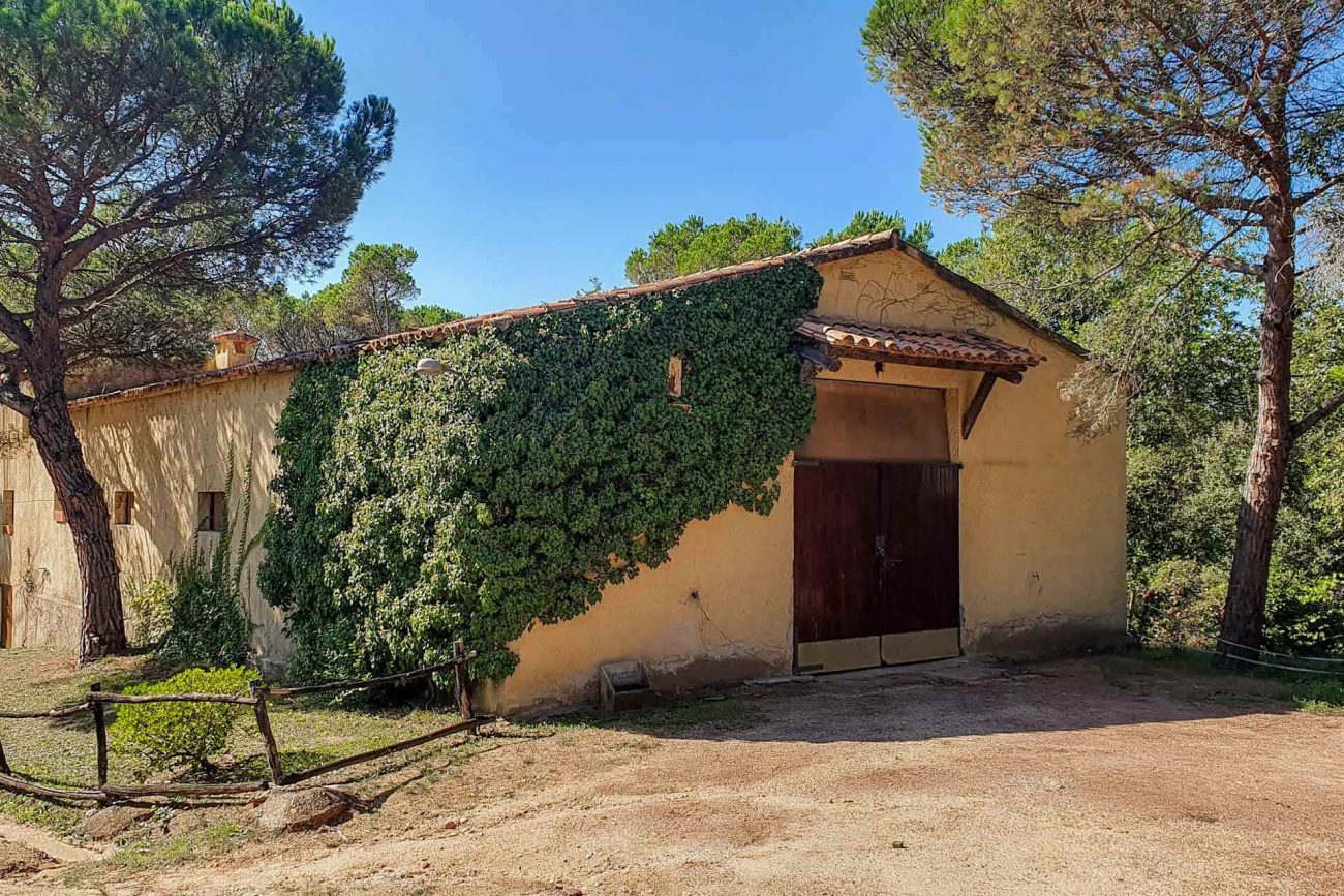Two properties in Caldes de Malavella