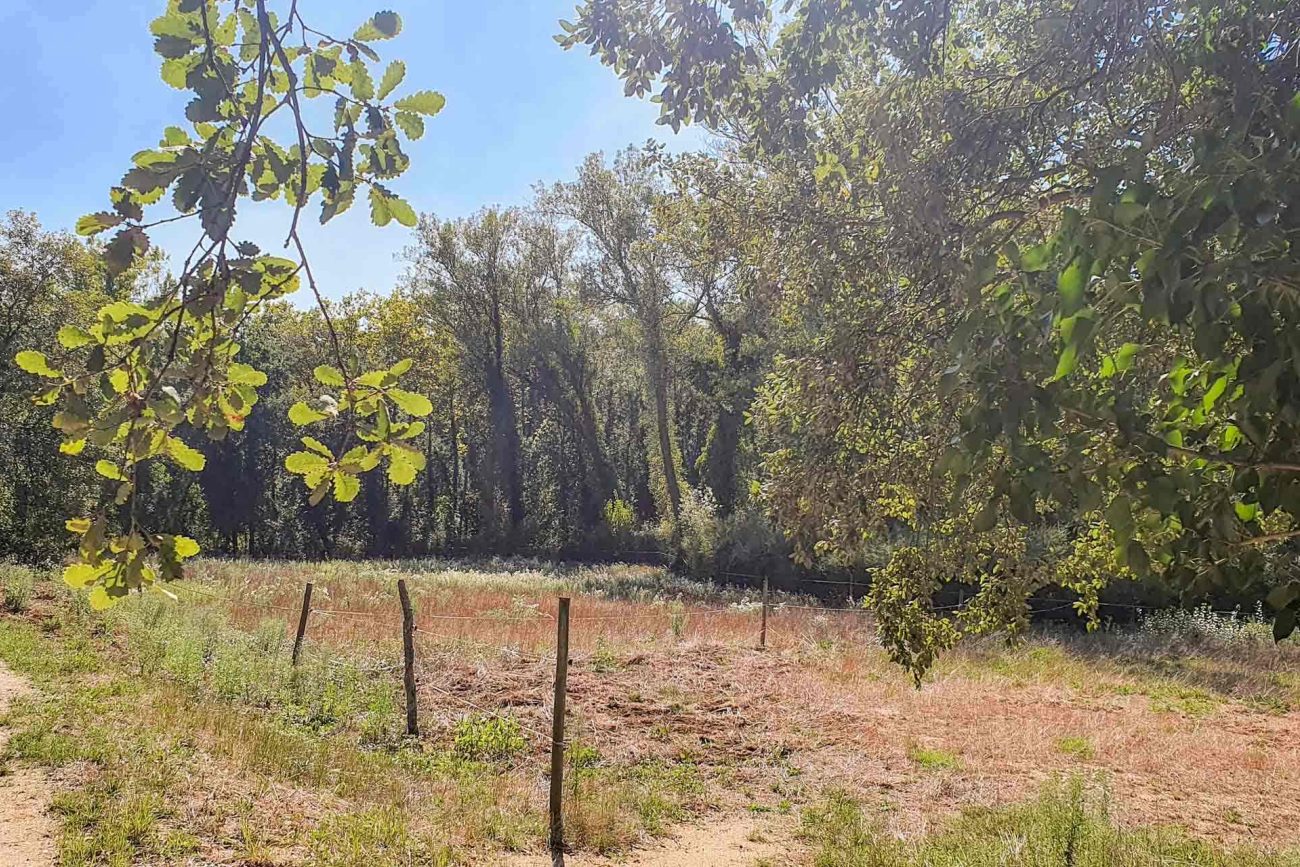 Two properties in Caldes de Malavella