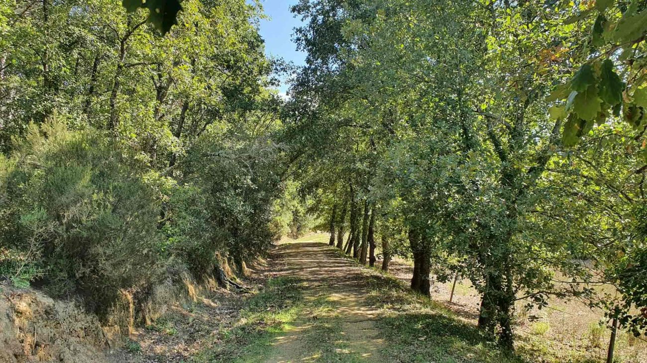 Two properties in Caldes de Malavella