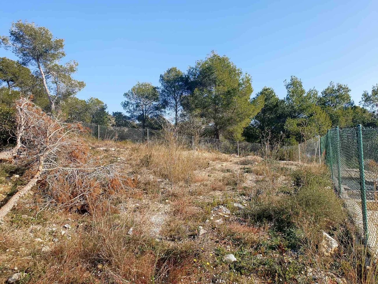 Magnificent plot with sea views in Sitges