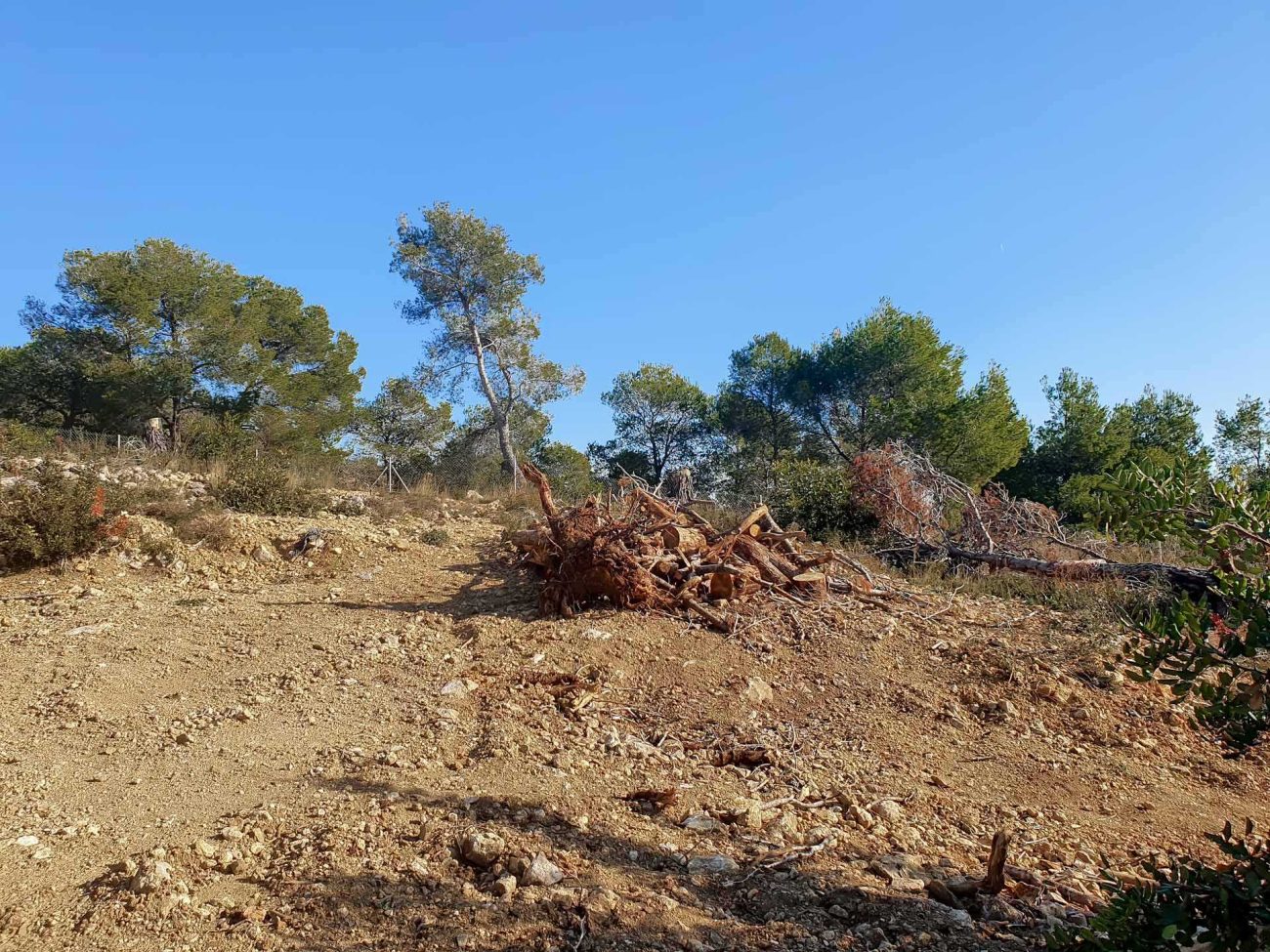 Magnificent plot with sea views in Sitges