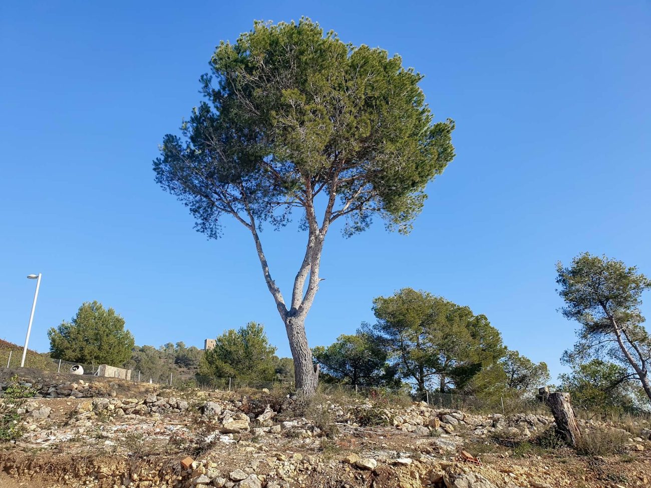 Magnificent plot with sea views in Sitges