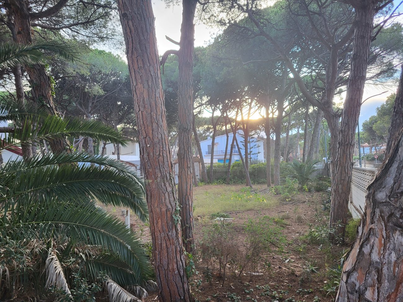 Exclusive Plot for a Single-Family Home in Castelldefels Beach