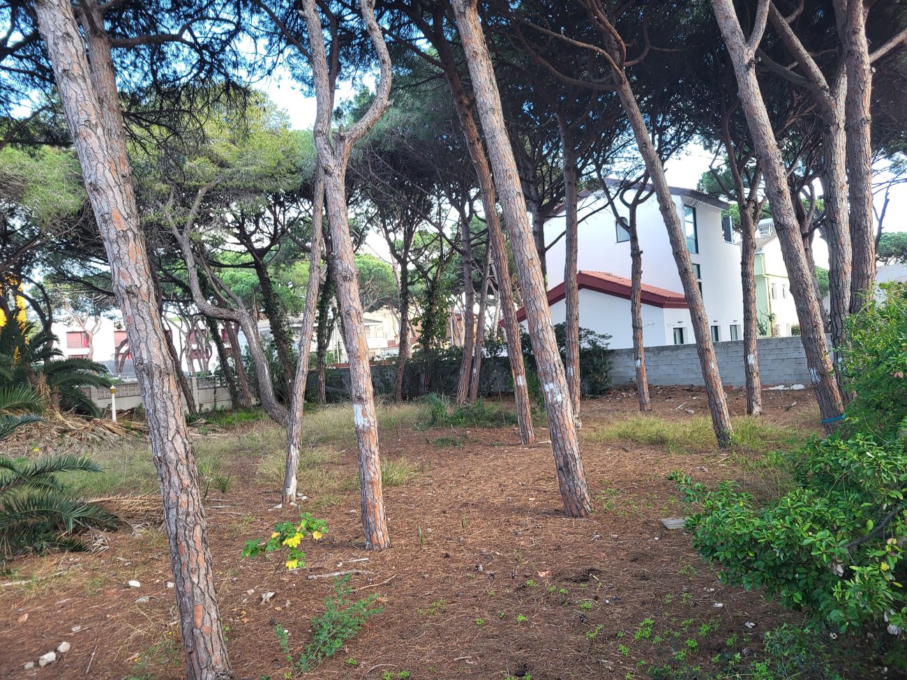 Exclusive Plot for a Single-Family Home in Castelldefels Beach