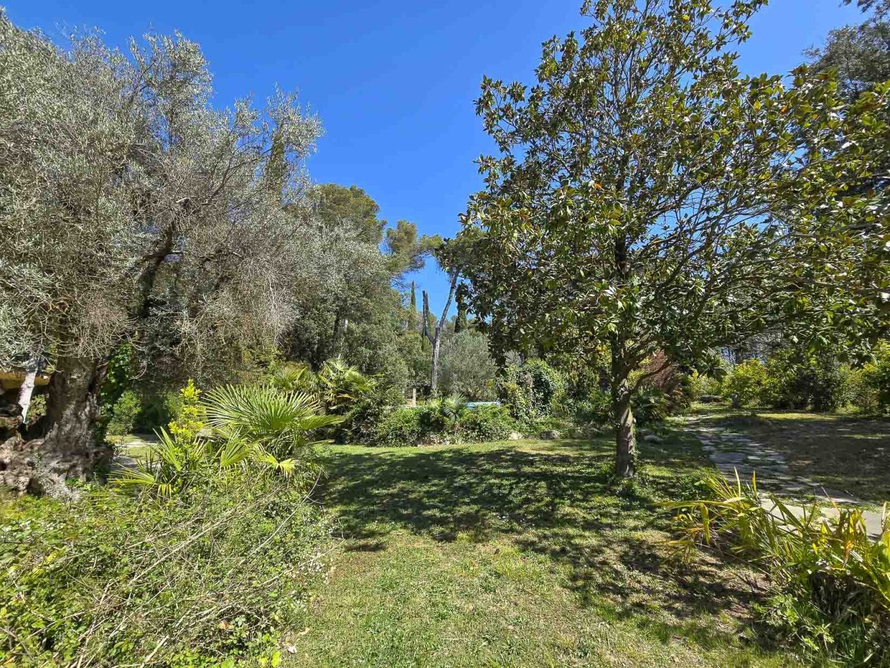 Luxury villa in Begues — unique estate with 6,000 m² plot and high investment potential