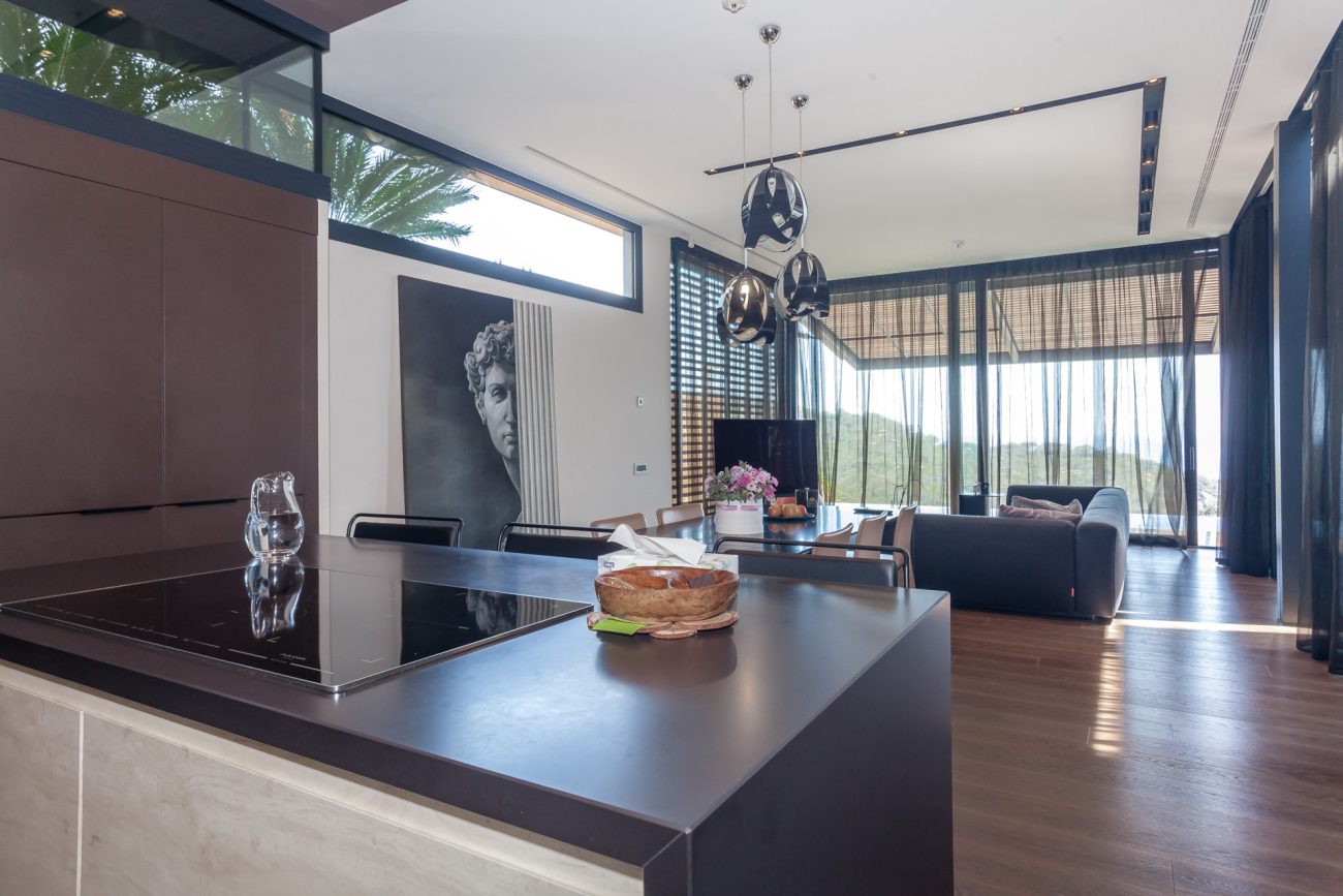 Luxury house with great view