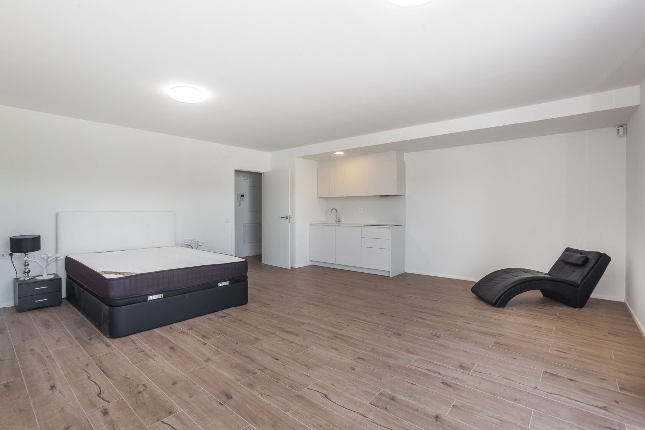 Two new apartments combined into one