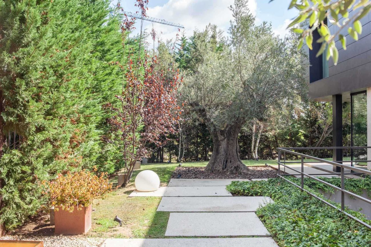 An oasis of tranquility in Esplugues del Llobregat