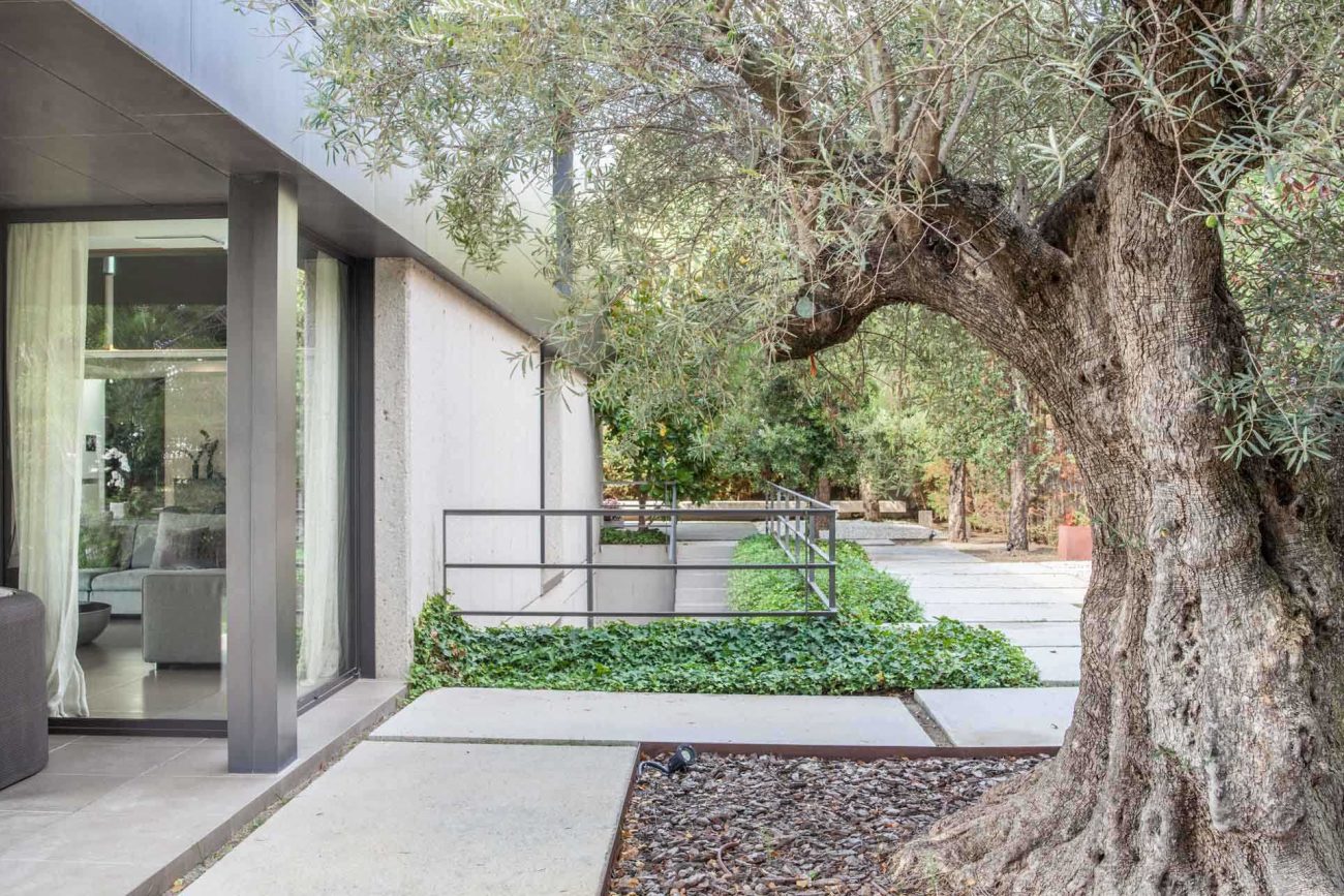 An oasis of tranquility in Esplugues del Llobregat
