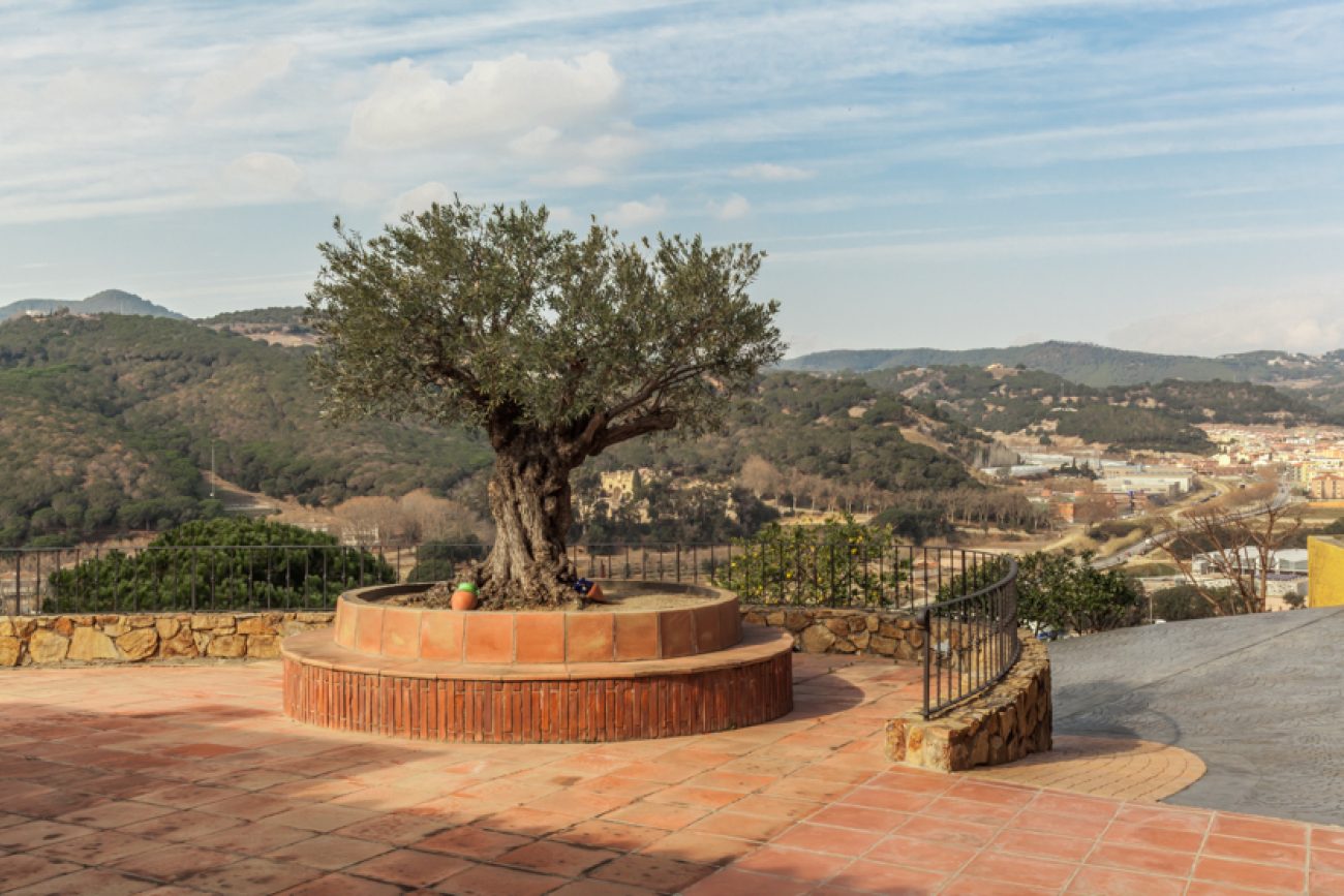 Unforgettable sea and mountain views