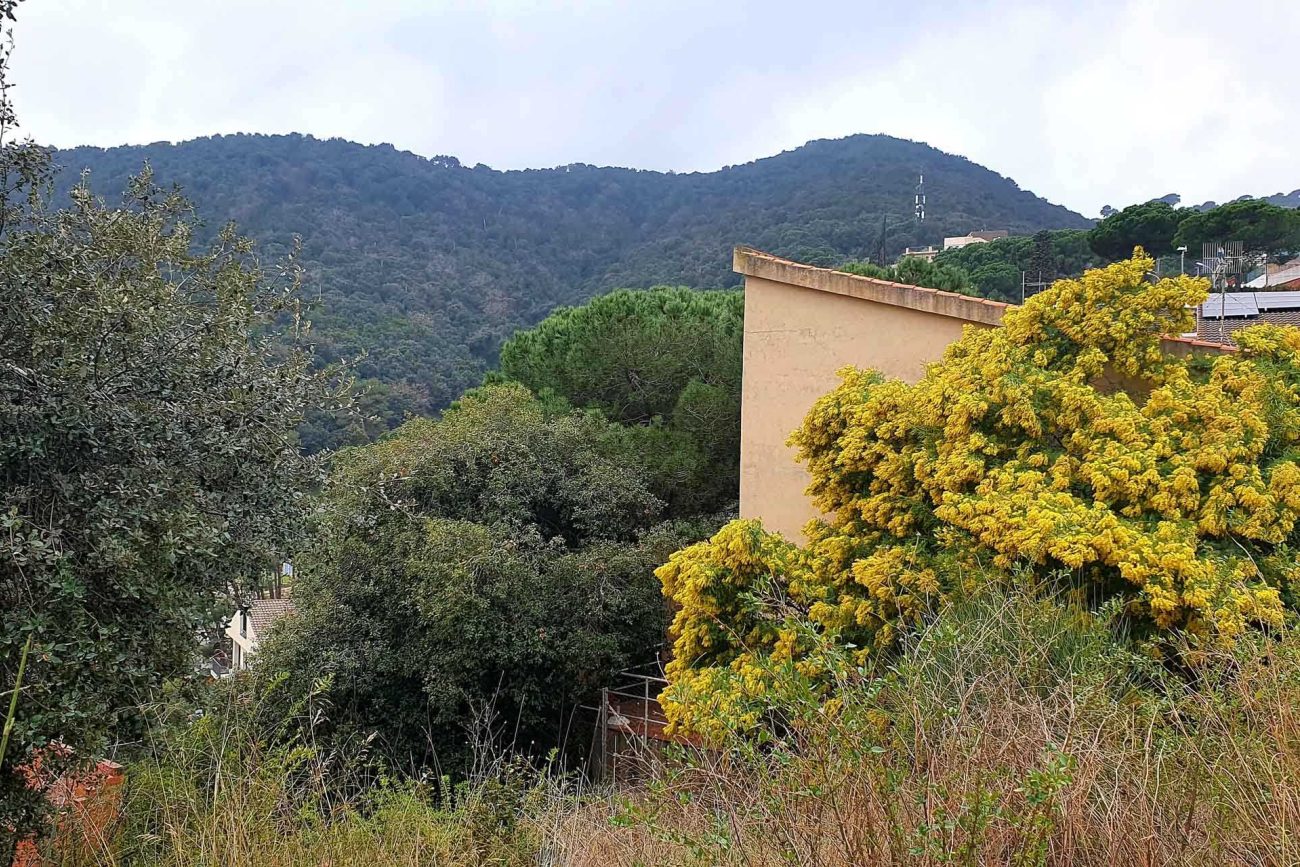 Plot with beautiful mountain views in Alella