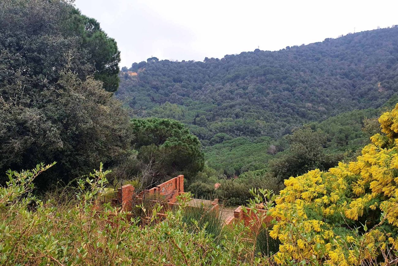 Plot with beautiful mountain views in Alella