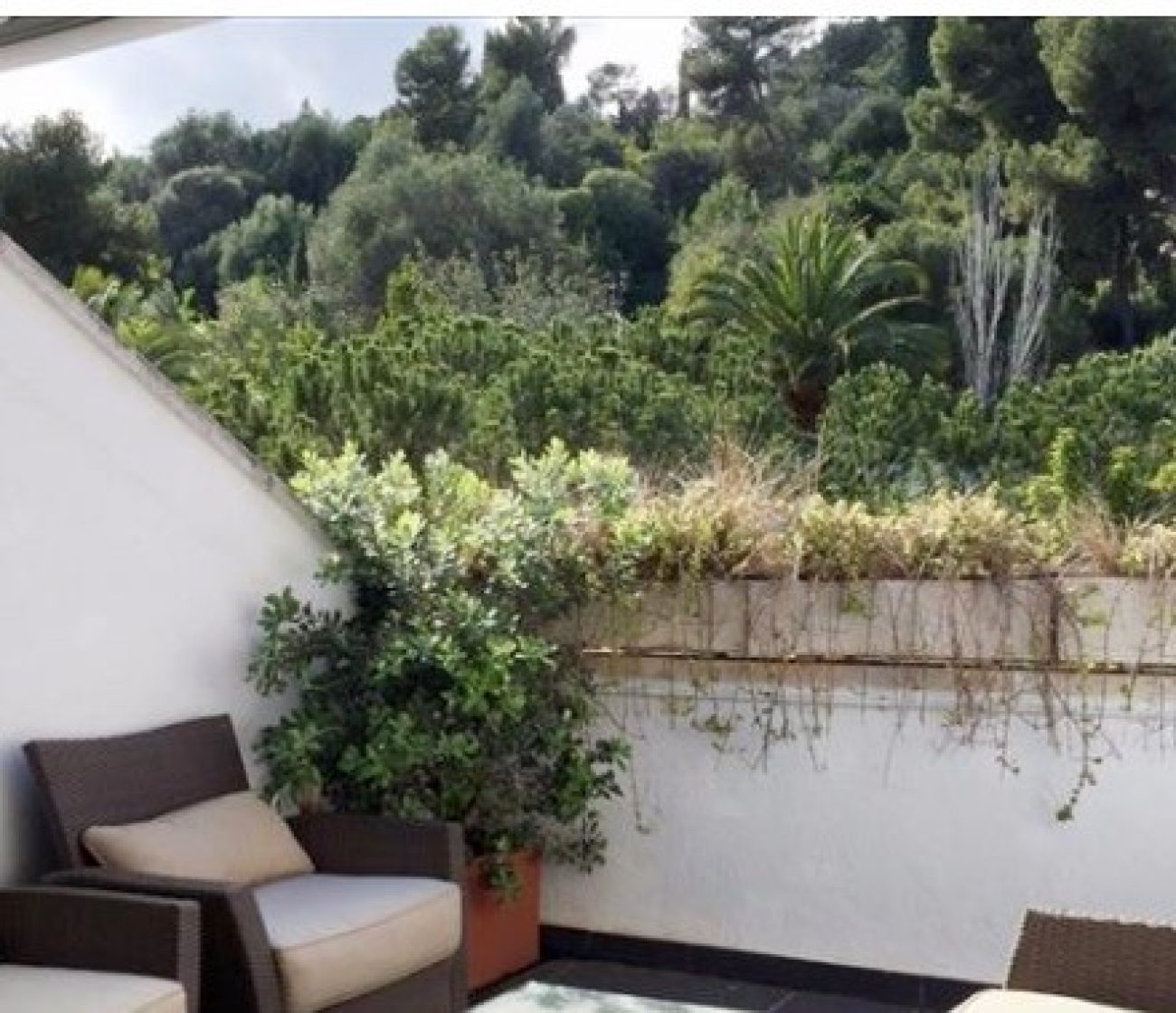 Exclusive townhouse in Putxet area of Barcelona