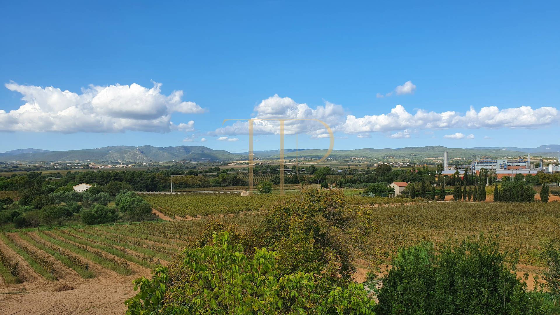 Sold: historic vineyard estate in the Penedès