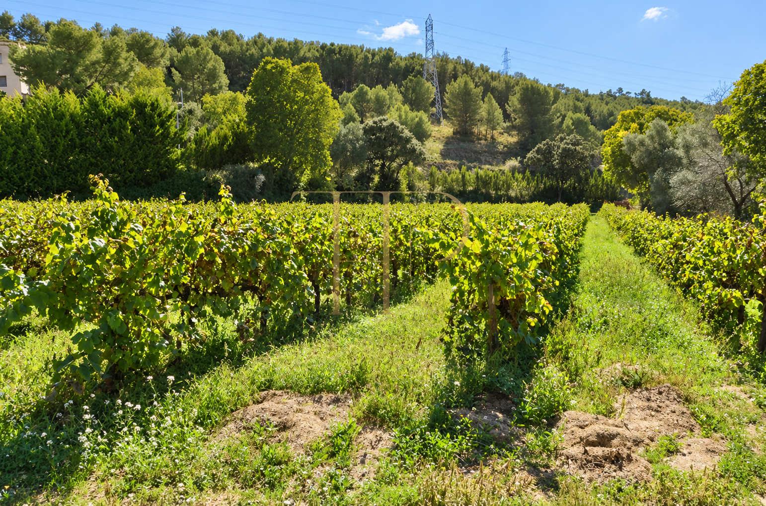 Stone country house with pool in Penedès — sold