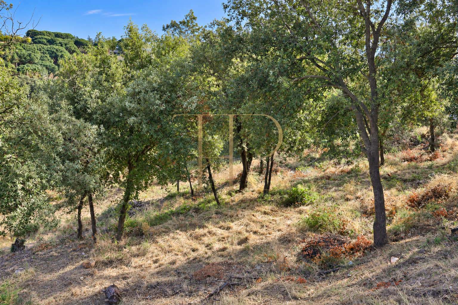 2,000 m² plot for sale in Rocaferrera, Sant Andreu de Llavaneres