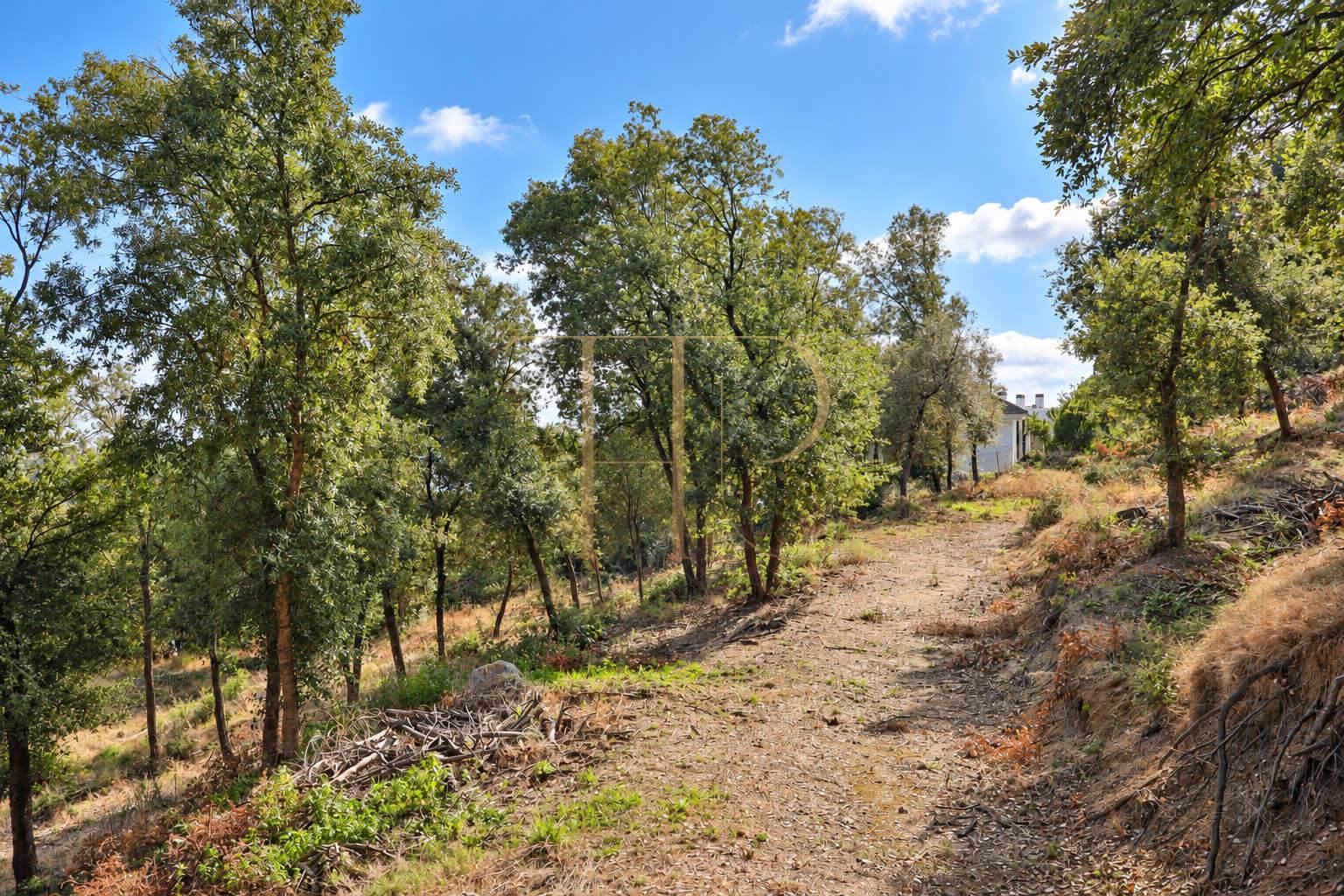 2,000 m² plot for sale in Rocaferrera, Sant Andreu de Llavaneres