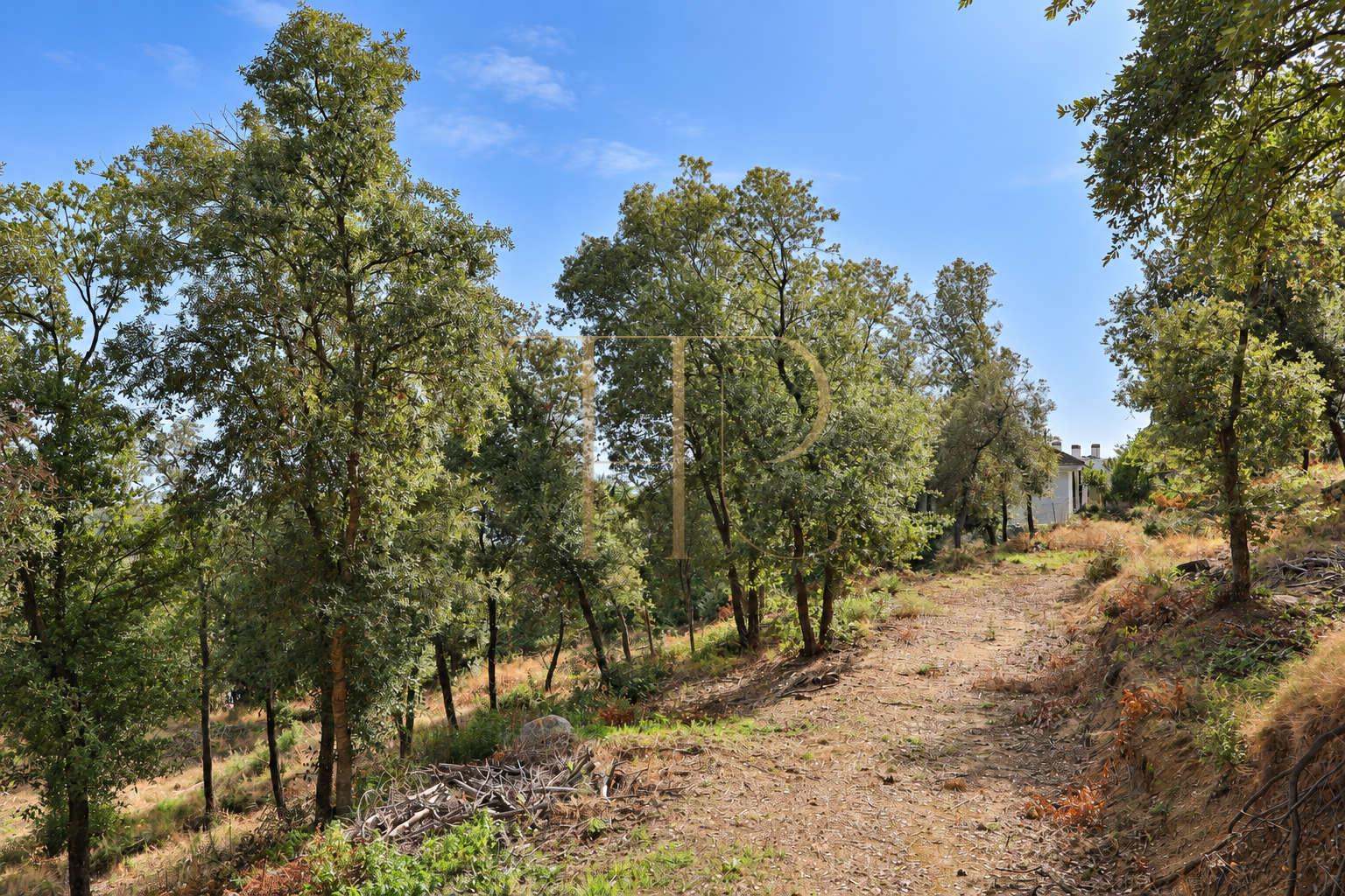 2,000 m² plot for sale in Rocaferrera, Sant Andreu de Llavaneres