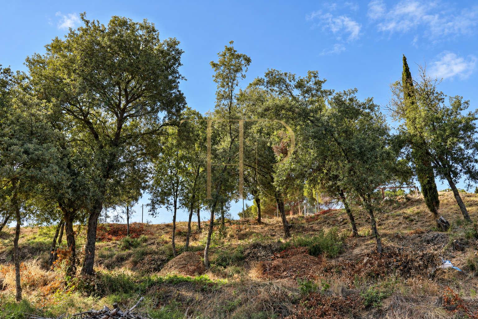 2,000 m² plot for sale in Rocaferrera, Sant Andreu de Llavaneres