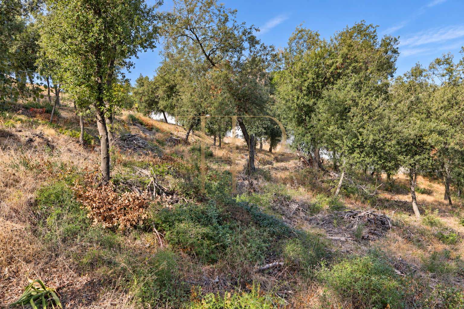 2,000 m² plot for sale in Rocaferrera, Sant Andreu de Llavaneres
