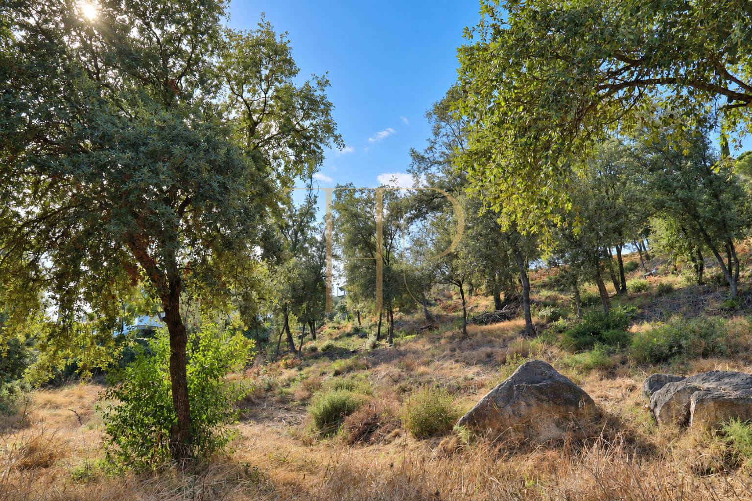2,000 m² plot for sale in Rocaferrera, Sant Andreu de Llavaneres