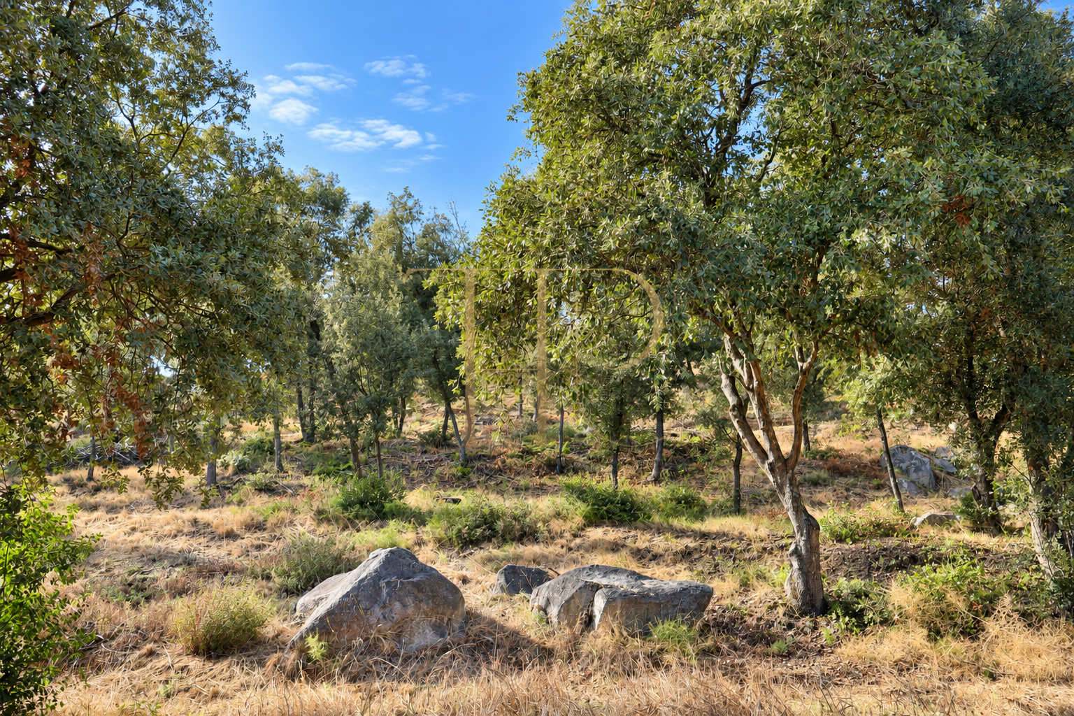 2,000 m² plot for sale in Rocaferrera, Sant Andreu de Llavaneres