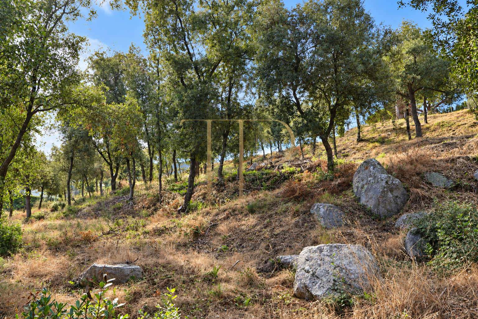 2,000 m² plot for sale in Rocaferrera, Sant Andreu de Llavaneres