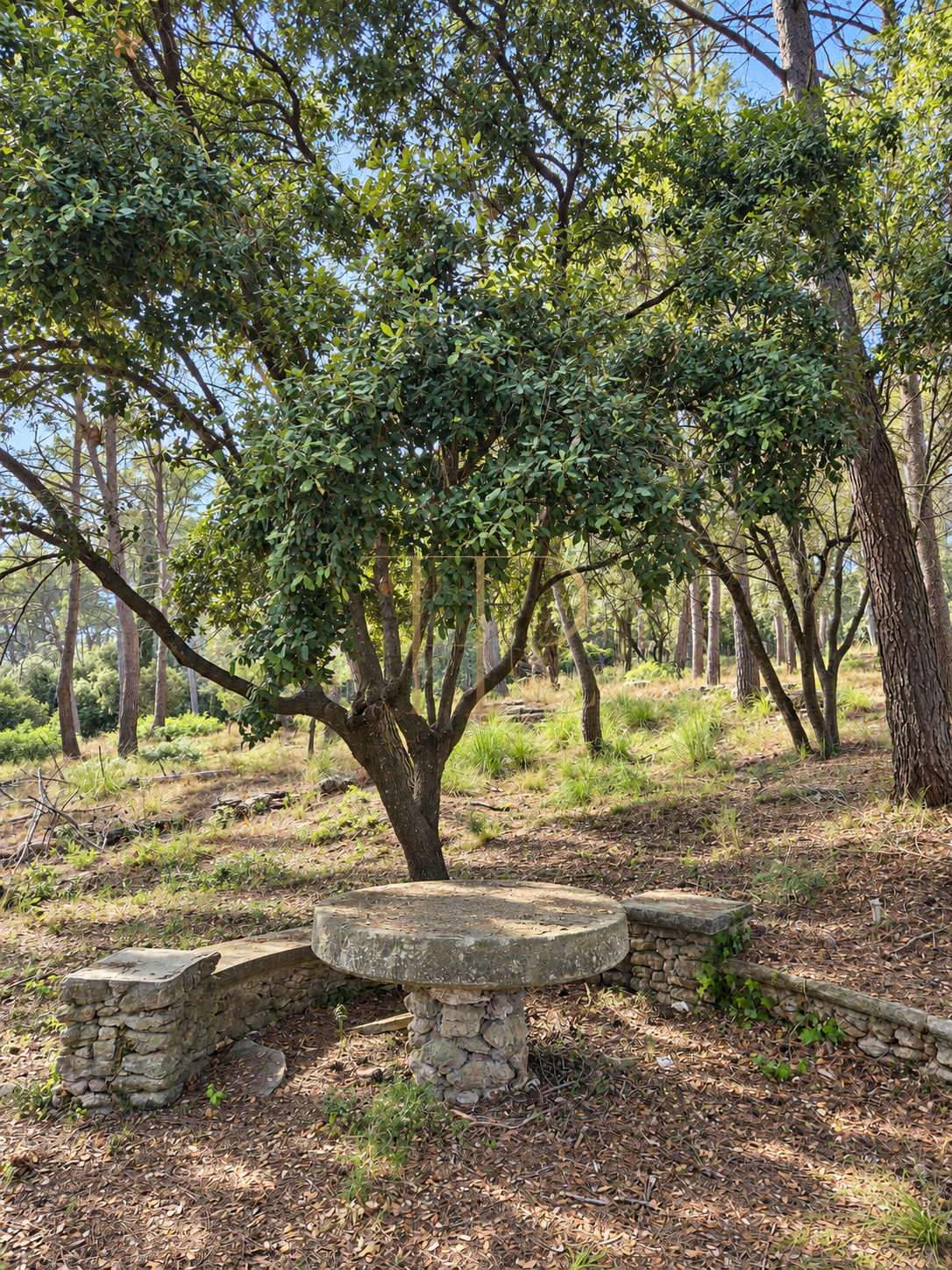 Seven plots for sale in Can Amell, Begues