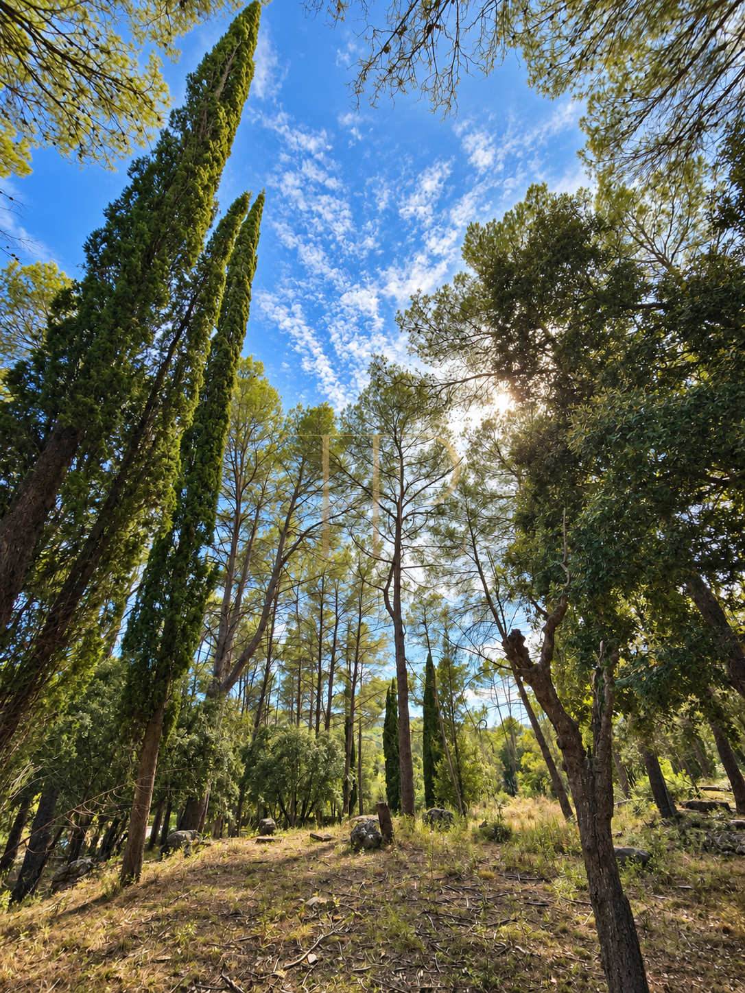 Seven plots for sale in Can Amell, Begues