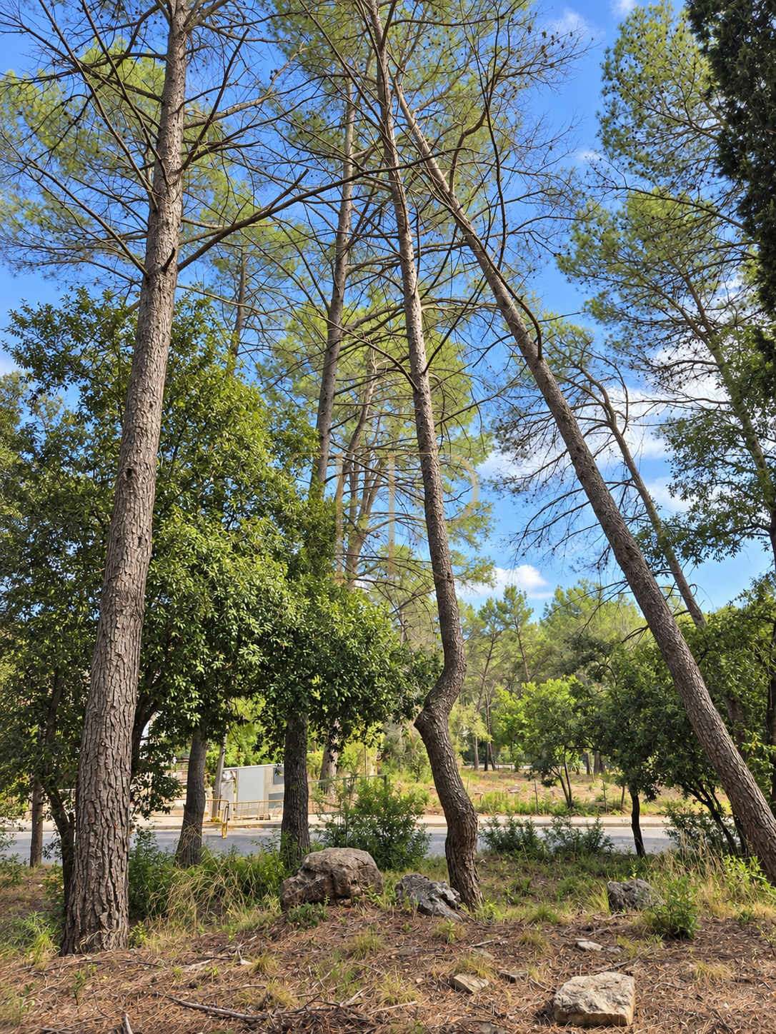 Seven plots for sale in Can Amell, Begues