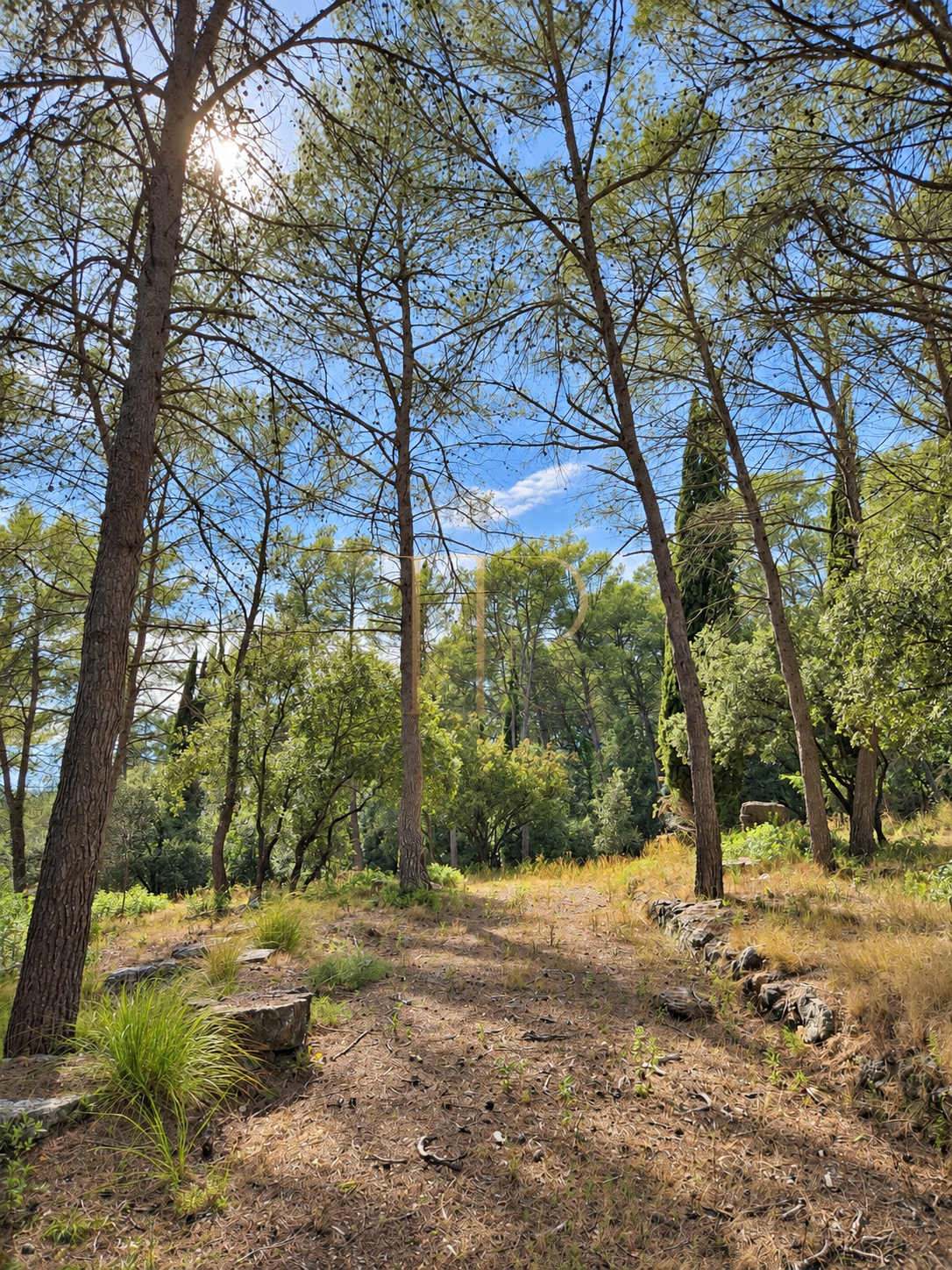 Seven plots for sale in Can Amell, Begues