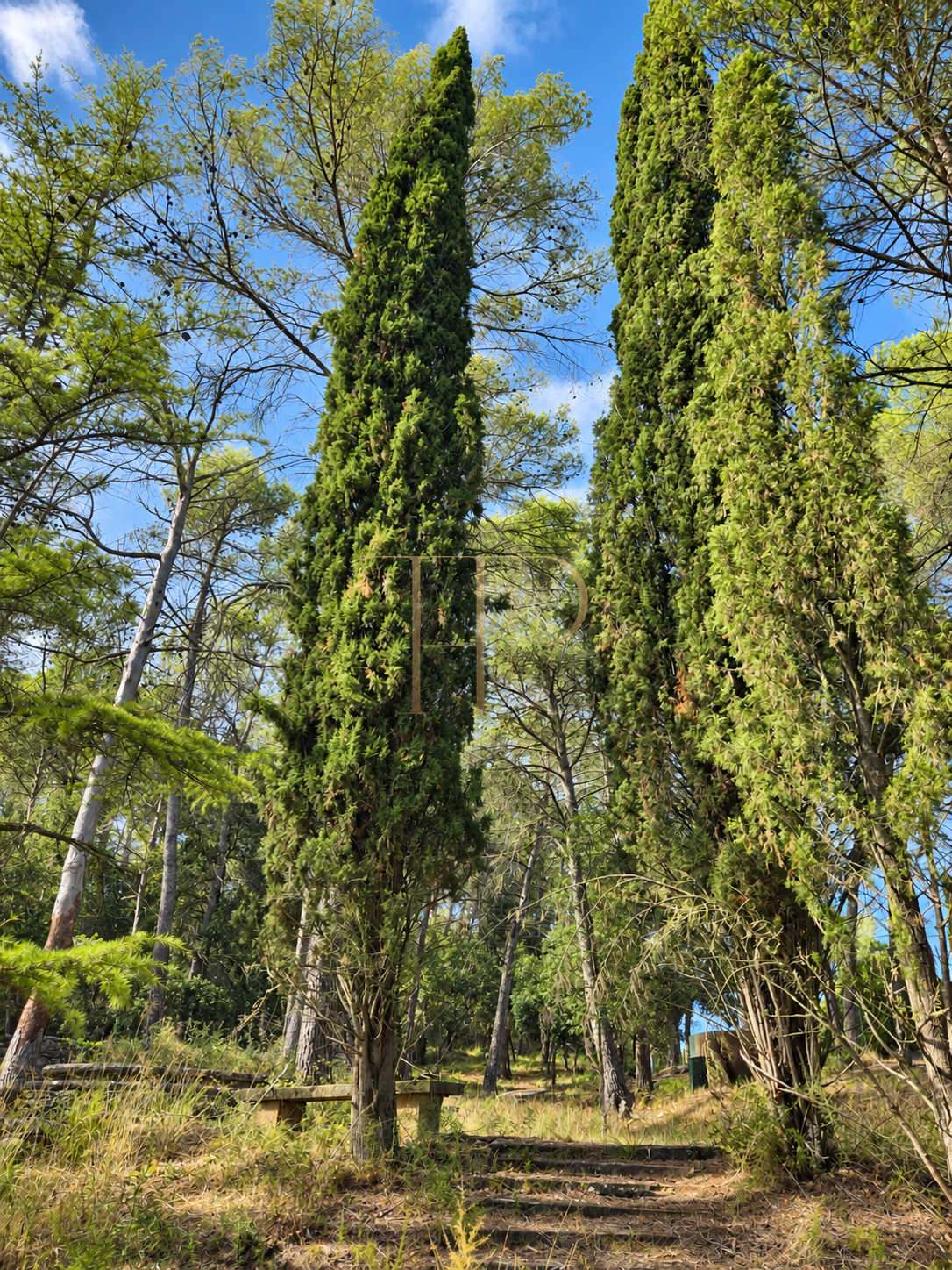 Seven plots for sale in Can Amell, Begues