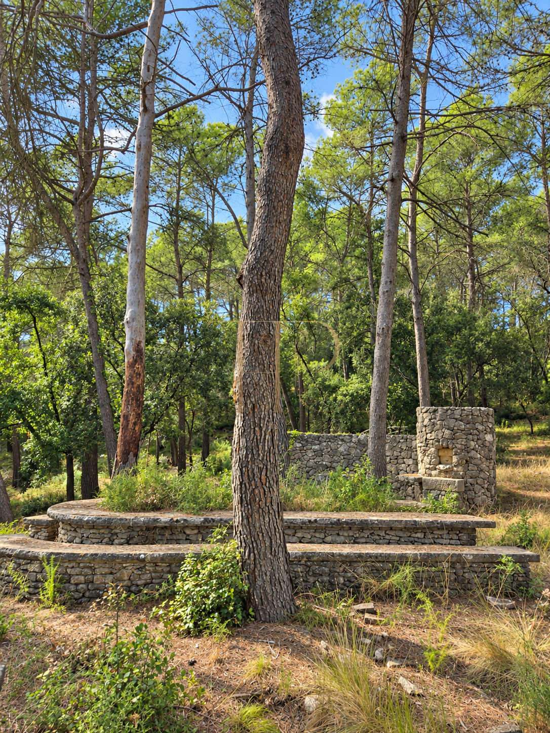Seven plots for sale in Can Amell, Begues