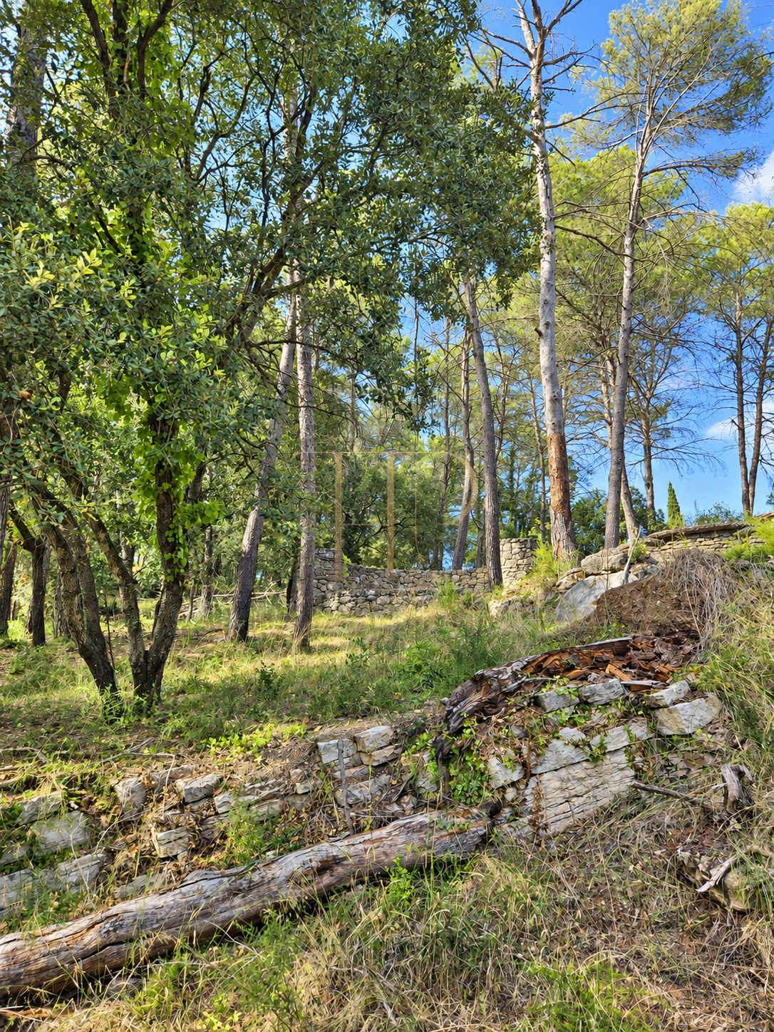 Seven plots for sale in Can Amell, Begues