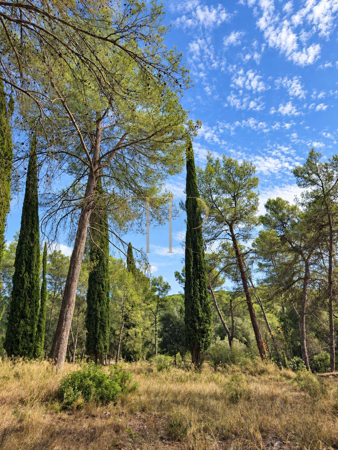 Seven plots for sale in Can Amell, Begues