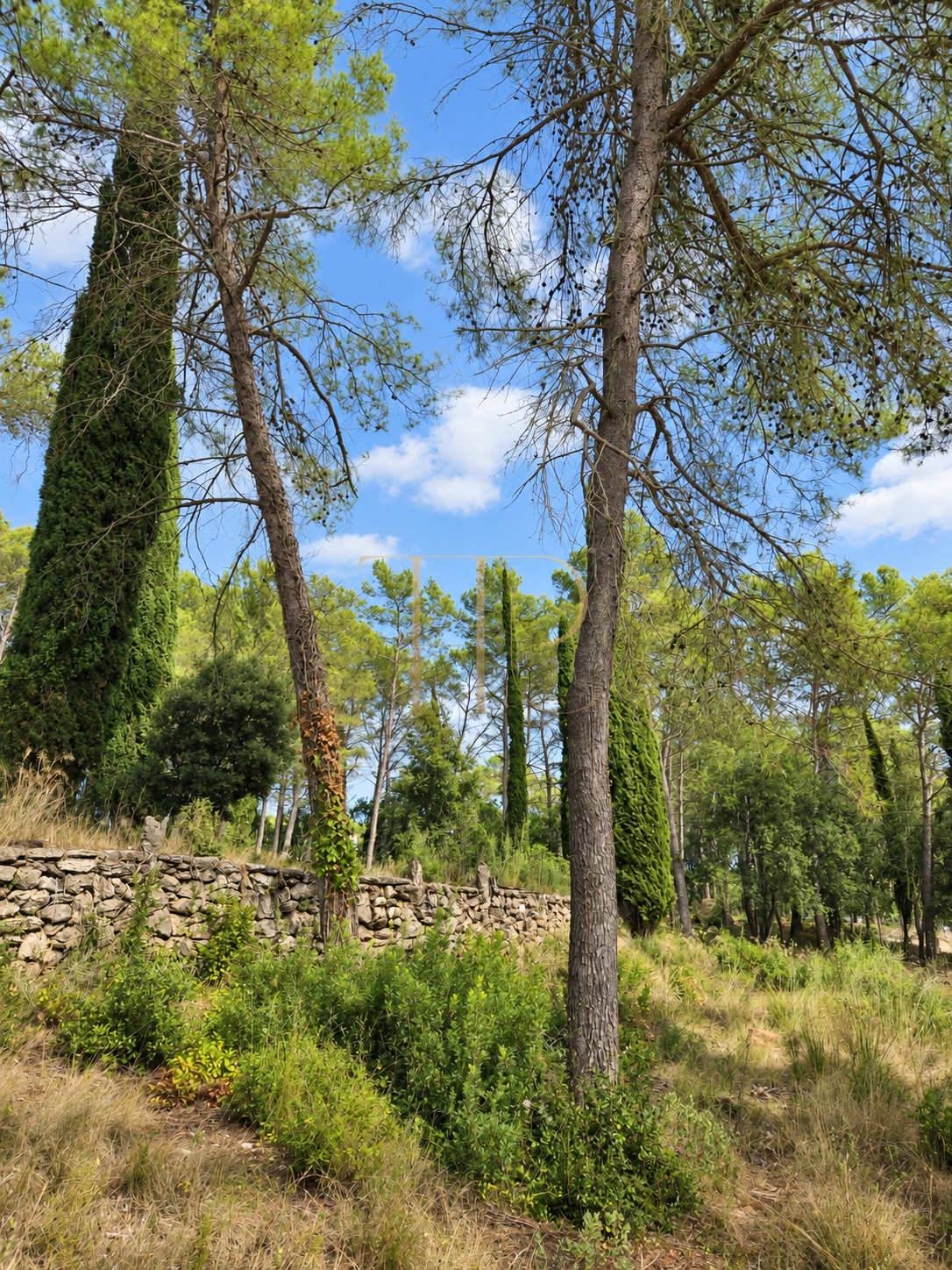 Seven plots for sale in Can Amell, Begues