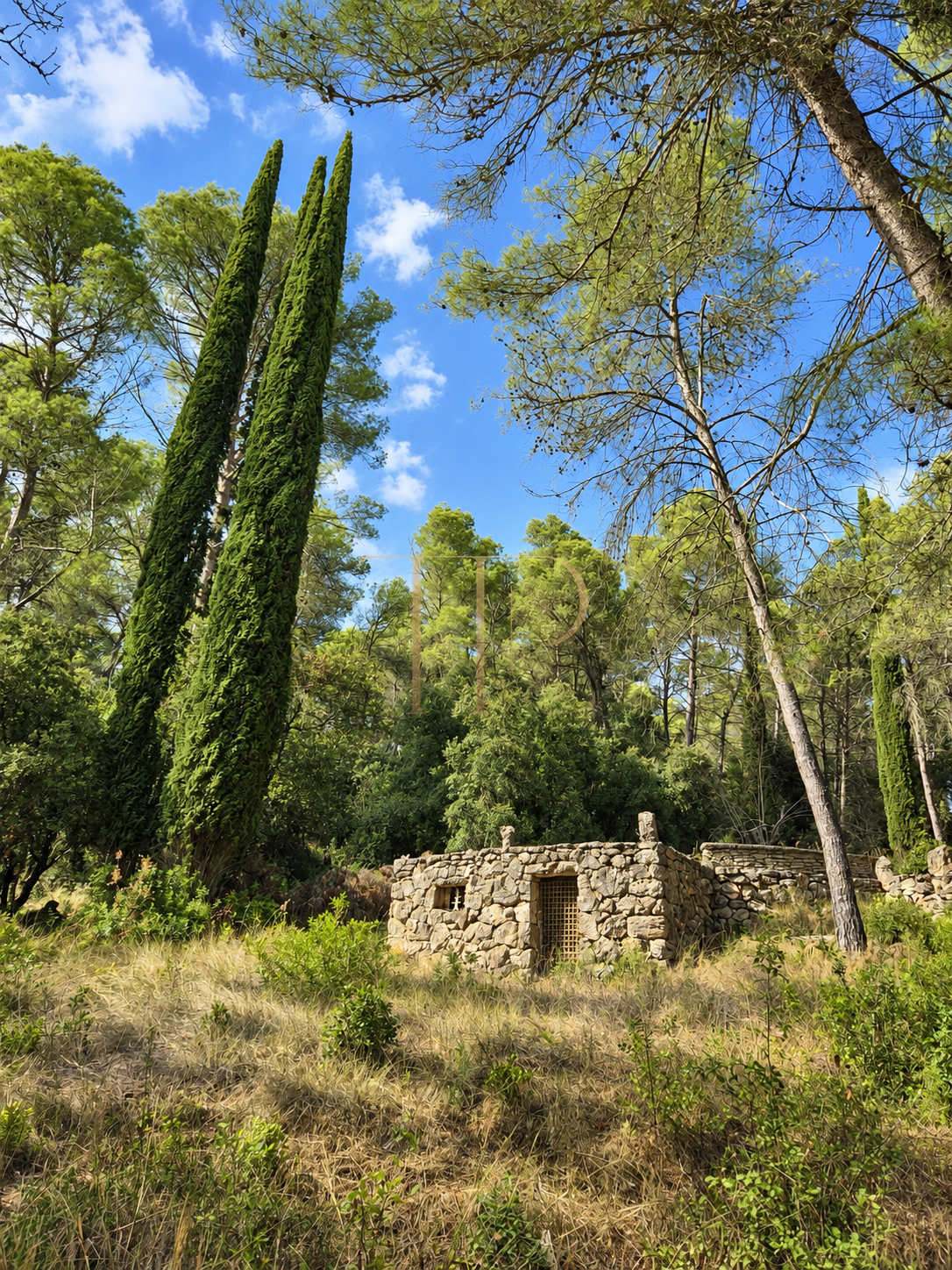 Seven plots for sale in Can Amell, Begues
