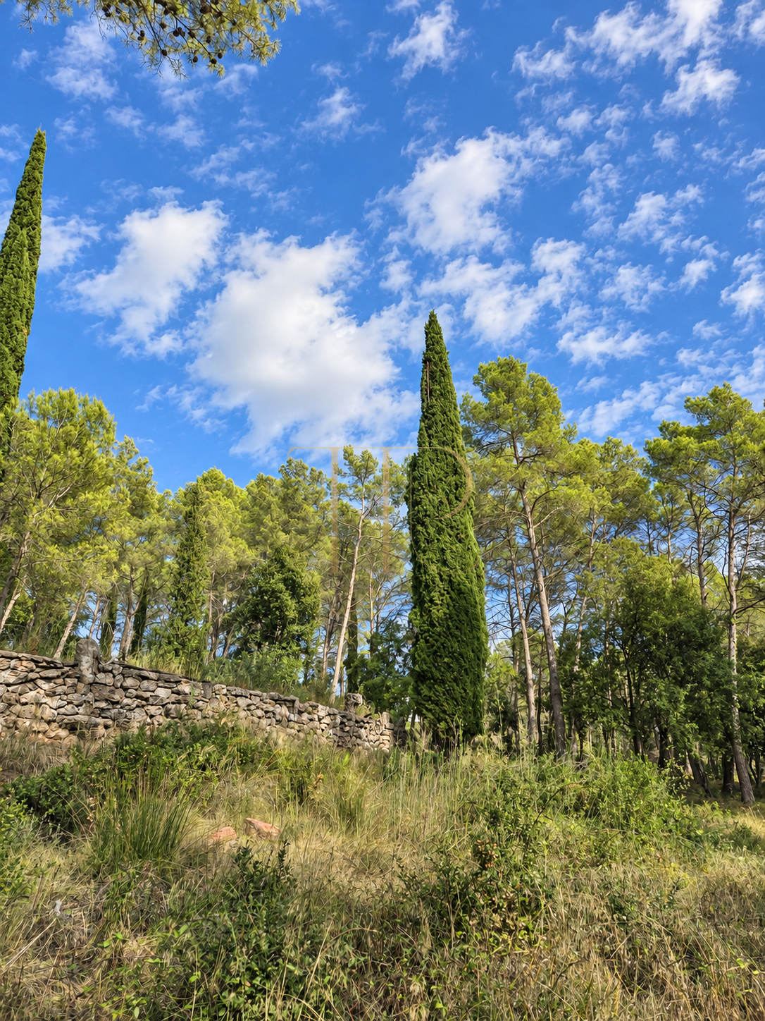 Seven plots for sale in Can Amell, Begues