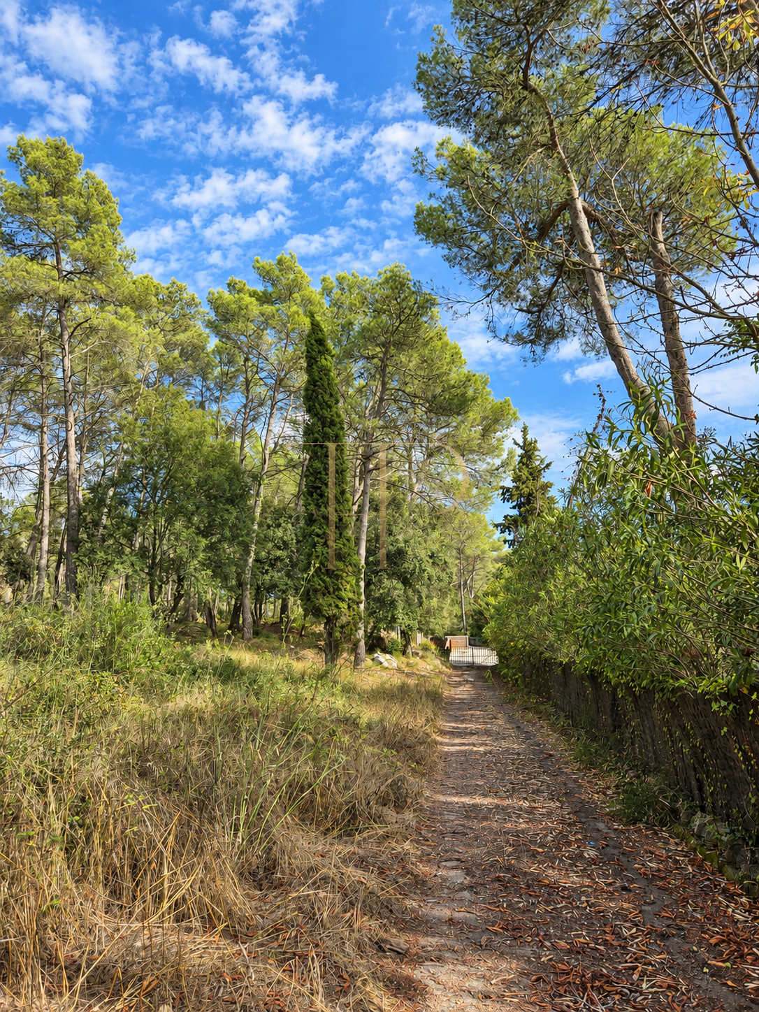 Seven plots for sale in Can Amell, Begues