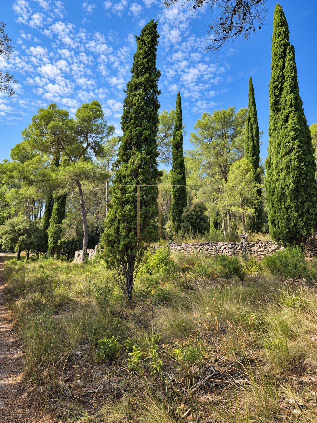 Seven plots for sale in Can Amell, Begues