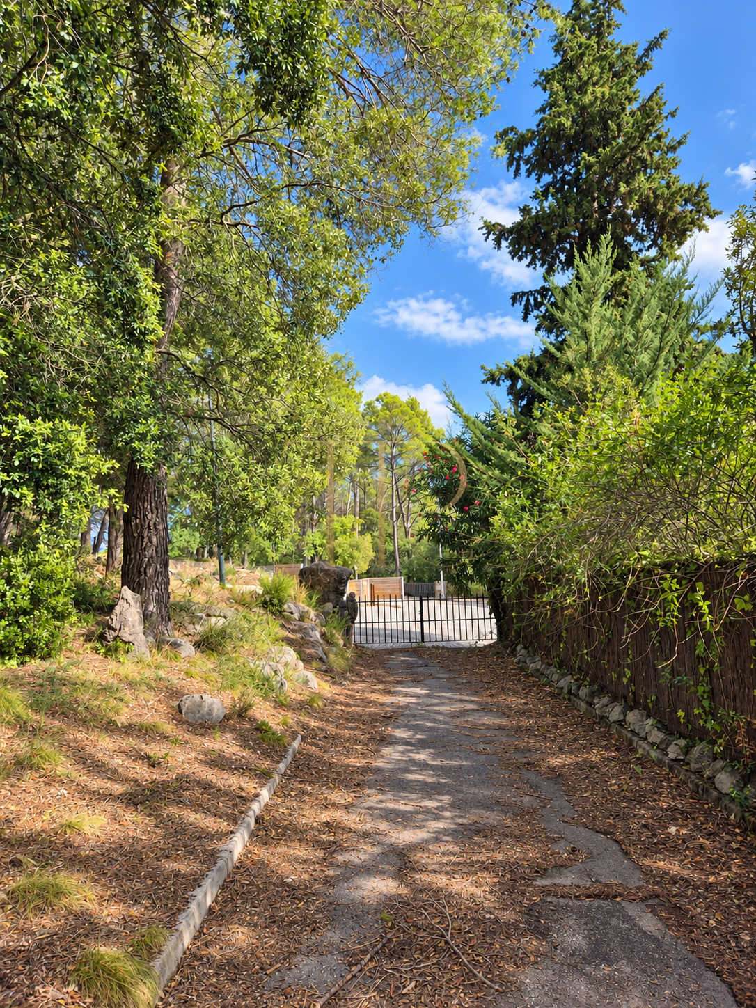 Seven plots for sale in Can Amell, Begues