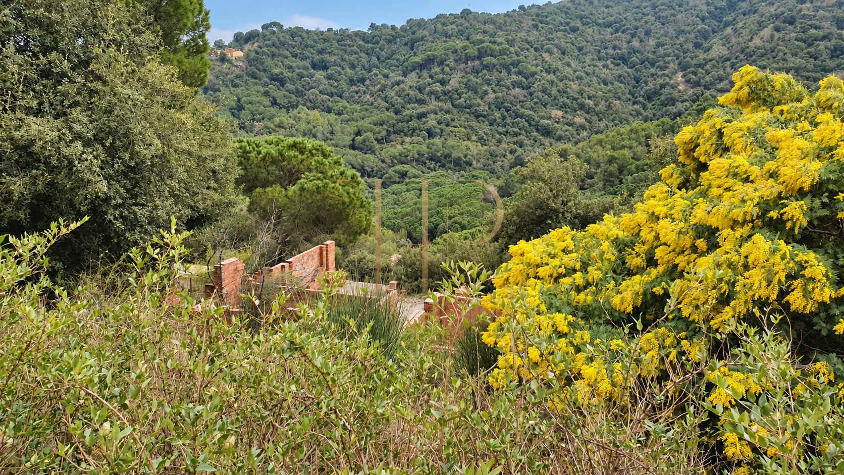 Mountain-view plot in Alella, Maresme — sold